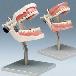 Protetik Diş Tedavisi