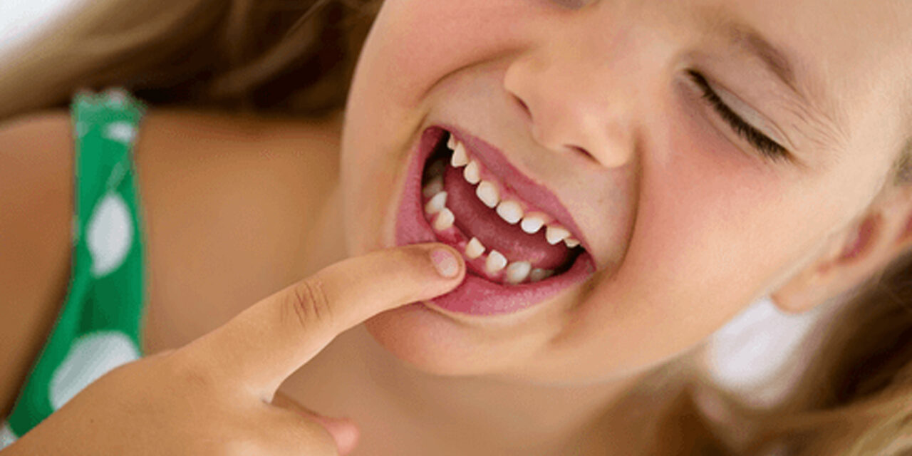 12-13 Yaşında Diş Çıkarmı , Diş Çıkarma Dönemleri